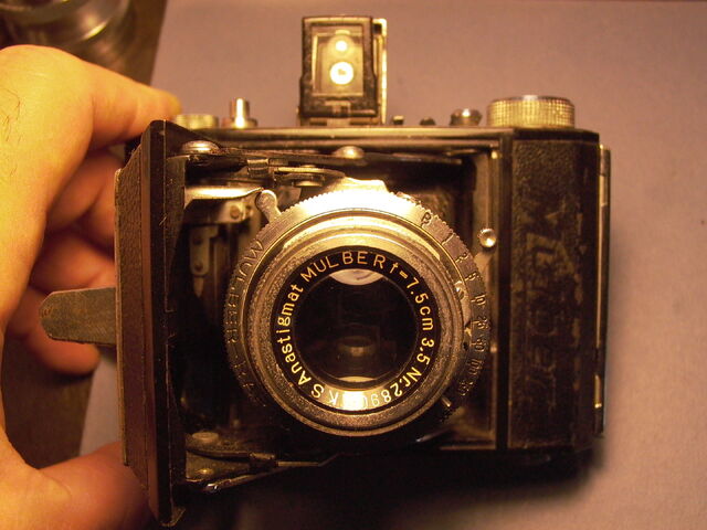 File:Z99 Semi Mulber ll 002.jpg