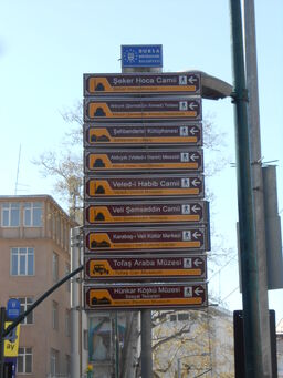 DSCN0240.jpg