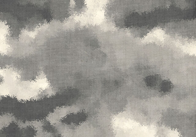 File:CTACS Snow Blur.jpg