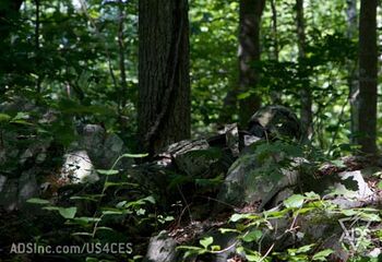 ADS-US4CES Woodland 3 450x320