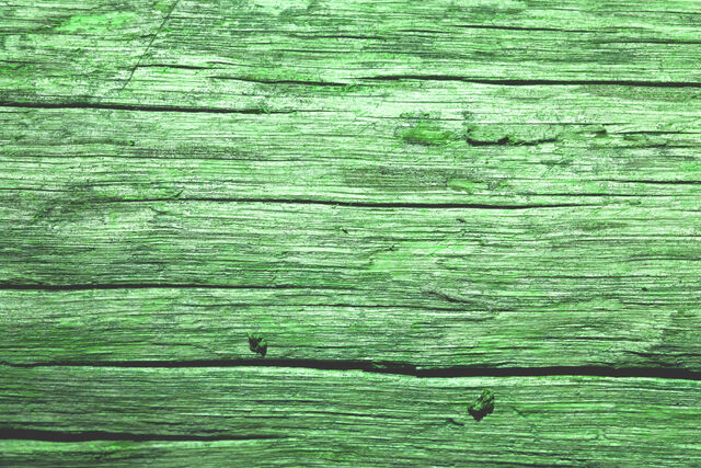 File:NurfWood.jpg