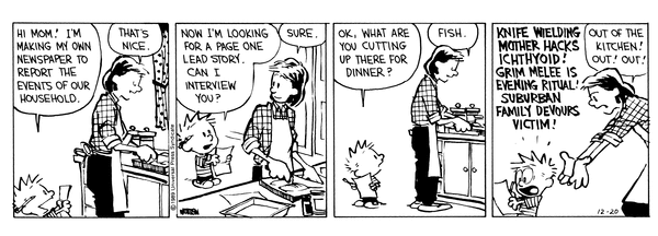 Calvin And Hobbes Newspaper