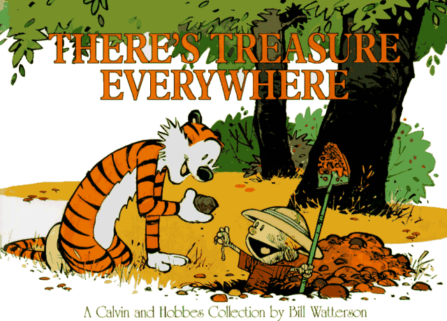 File:Theres Treasure Everywhere.gif