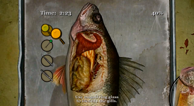Archivo:Pez2.png