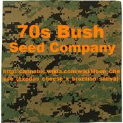 70s bush camouflage