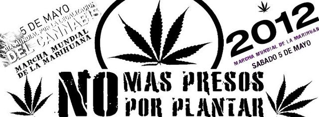 File:Chile 2012 GMM 9.jpg