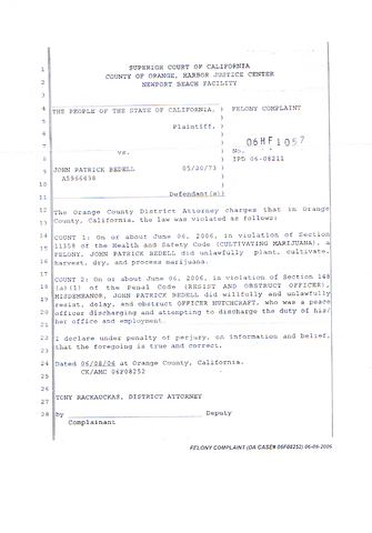 File:2006-06-06-felony-complaint-image-0003.png