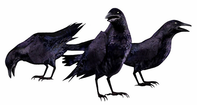 File:REOutbreakCrows.png