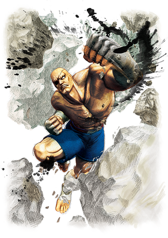 File:SSFIVSagat.png