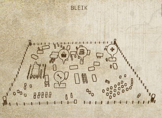 Bleik