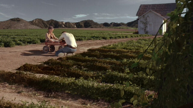 File:Fields dying.jpg