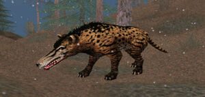 Andrewsarchus