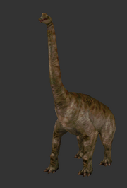 Brachcropped