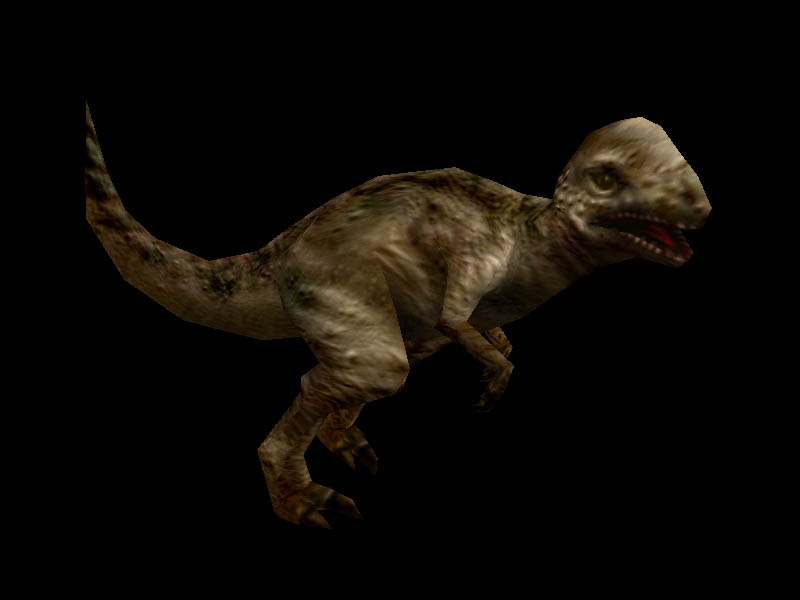 Pachycephalosaurus | Carnivores Wiki | FANDOM powered by Wikia