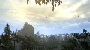 Great Forest