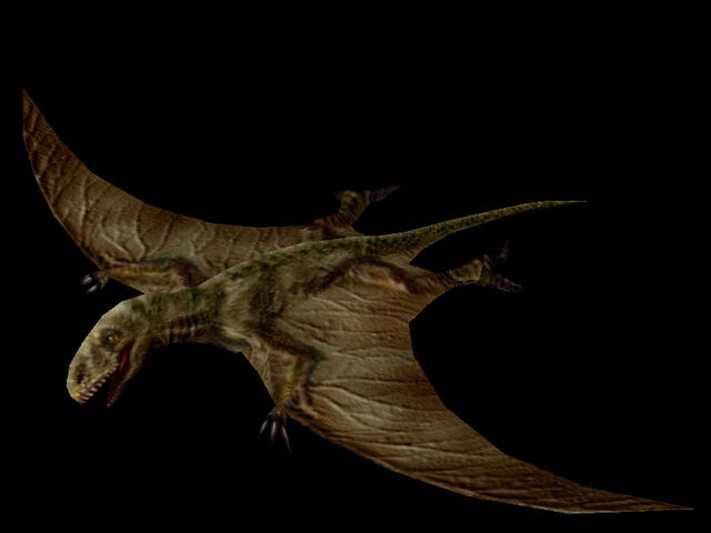 File:Dimorphodon.jpg