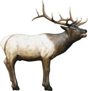 Hd70 elk