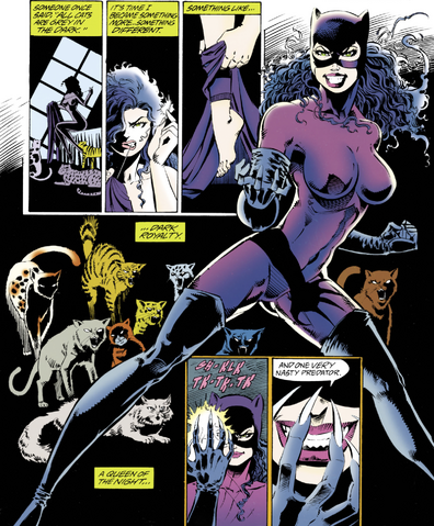 File:Catwomansuitvr3 6.png