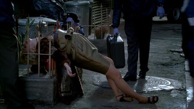 File:Stacey Collins dead body.jpg