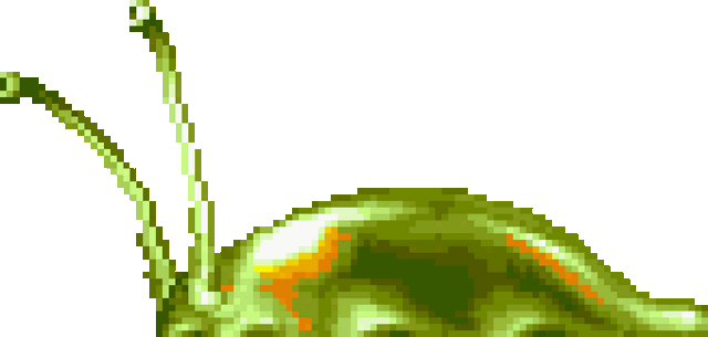 File:Mollusca.gif