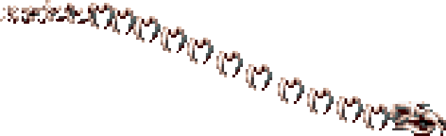 File:Whitedraglv3.gif