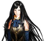 Shanoa-official-artwork-33