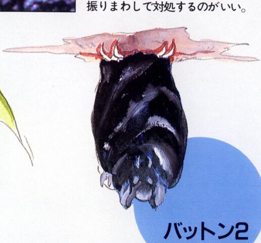 File:44hangingbat.jpg