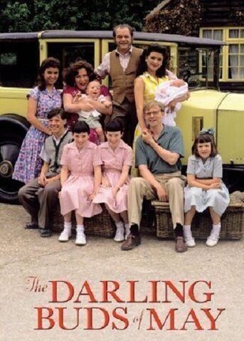 File:02. THE DARLING BUDS OF MAY (TV) (1991).jpg