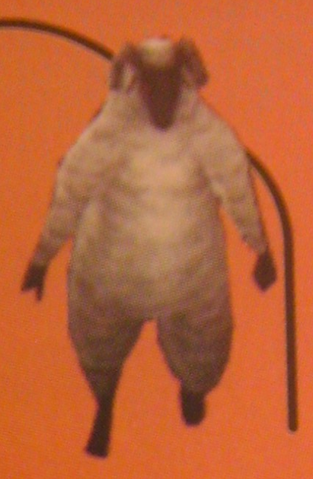 File:WhiteSheep.png