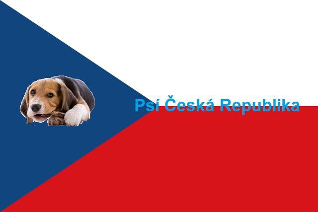 Файл:Флаг СРЧ.jpg