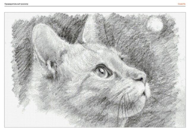 Файл:Кошка2.jpg