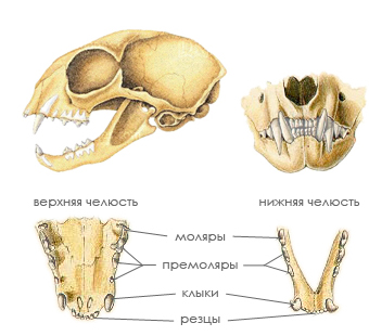 1-1434051965.jpg