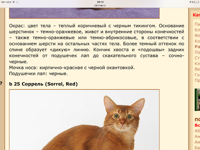 Файл:Image-1.png