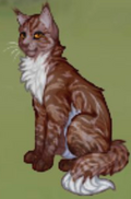 Календулоглазая.png
