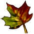 54.png
