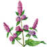 104.png