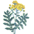 115.png