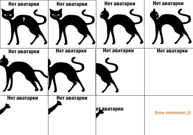 Файл:Аватарка есть.jpg