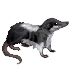 232.png