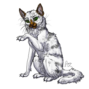 C90bcdf53c688145d8b259431b9ac34a.png