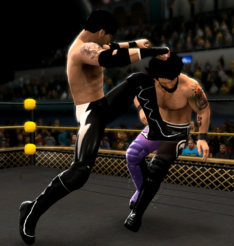 File:DelivineKneeStrike.png