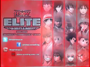 ACW Elite Tournament 2K15