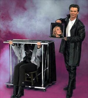 Head Mover illusion
