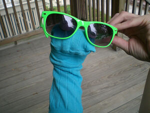 Sockpuppet.jpg