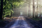 MudRoad