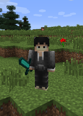 File:MCSuperTurtle.png