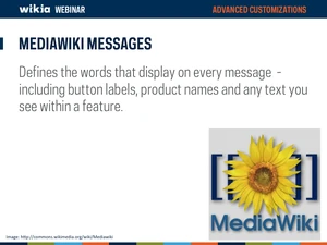 Advanced Customization Webinar Slide07