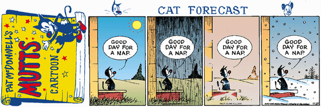 File:Cat forecast.gif