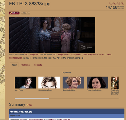 File:AdsOnImageFilePage.png