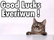 Good luck everiwun
